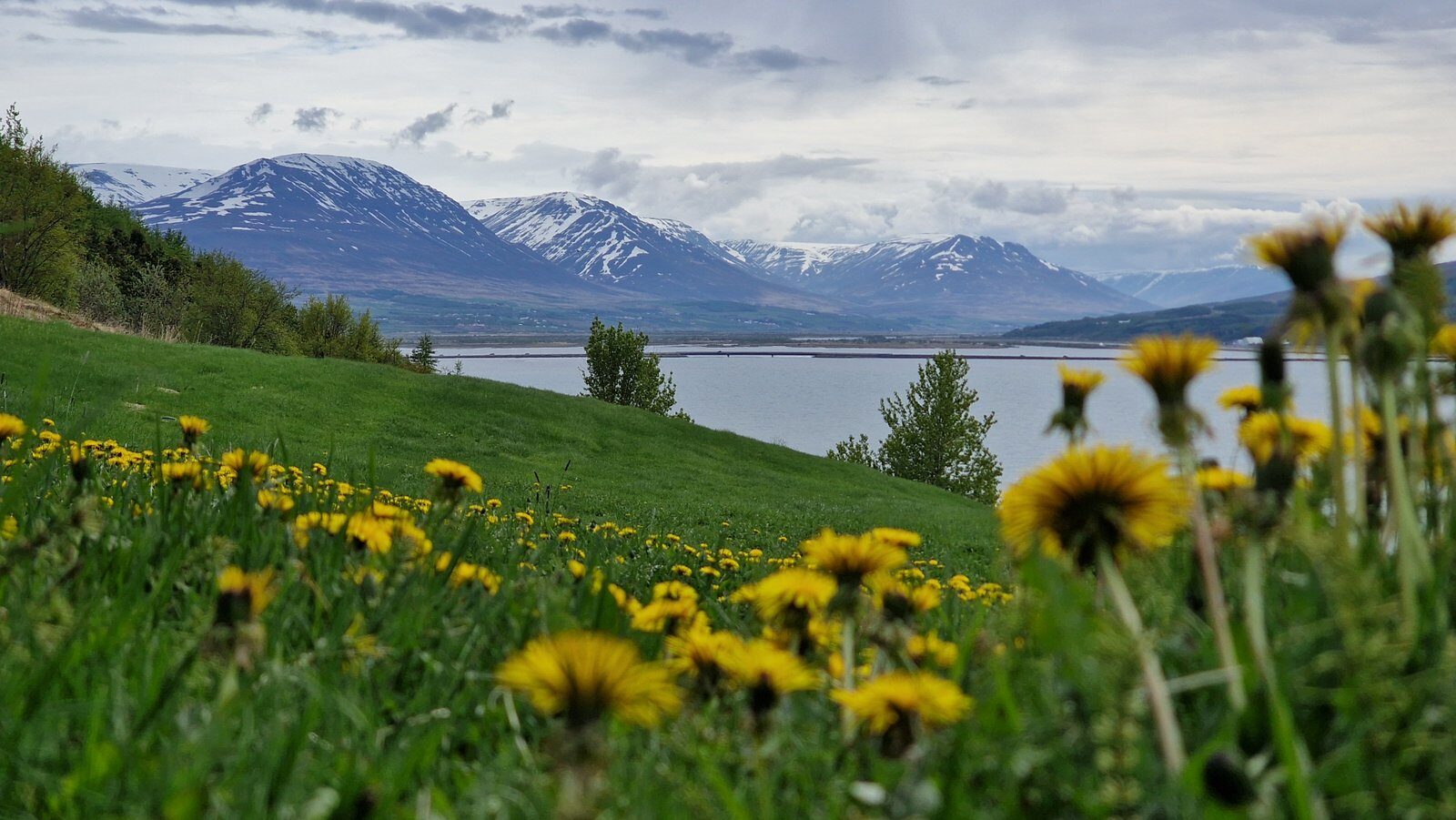 8 – Qué ver en Akureyri y alrededores (Islandia): Goðafoss, carretera panorámica y cascada de agua caliente